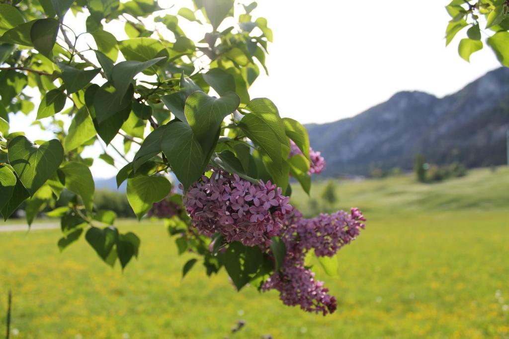 Hotel Kraftquelle Schlossblick Angerberg  Eksteriør billede