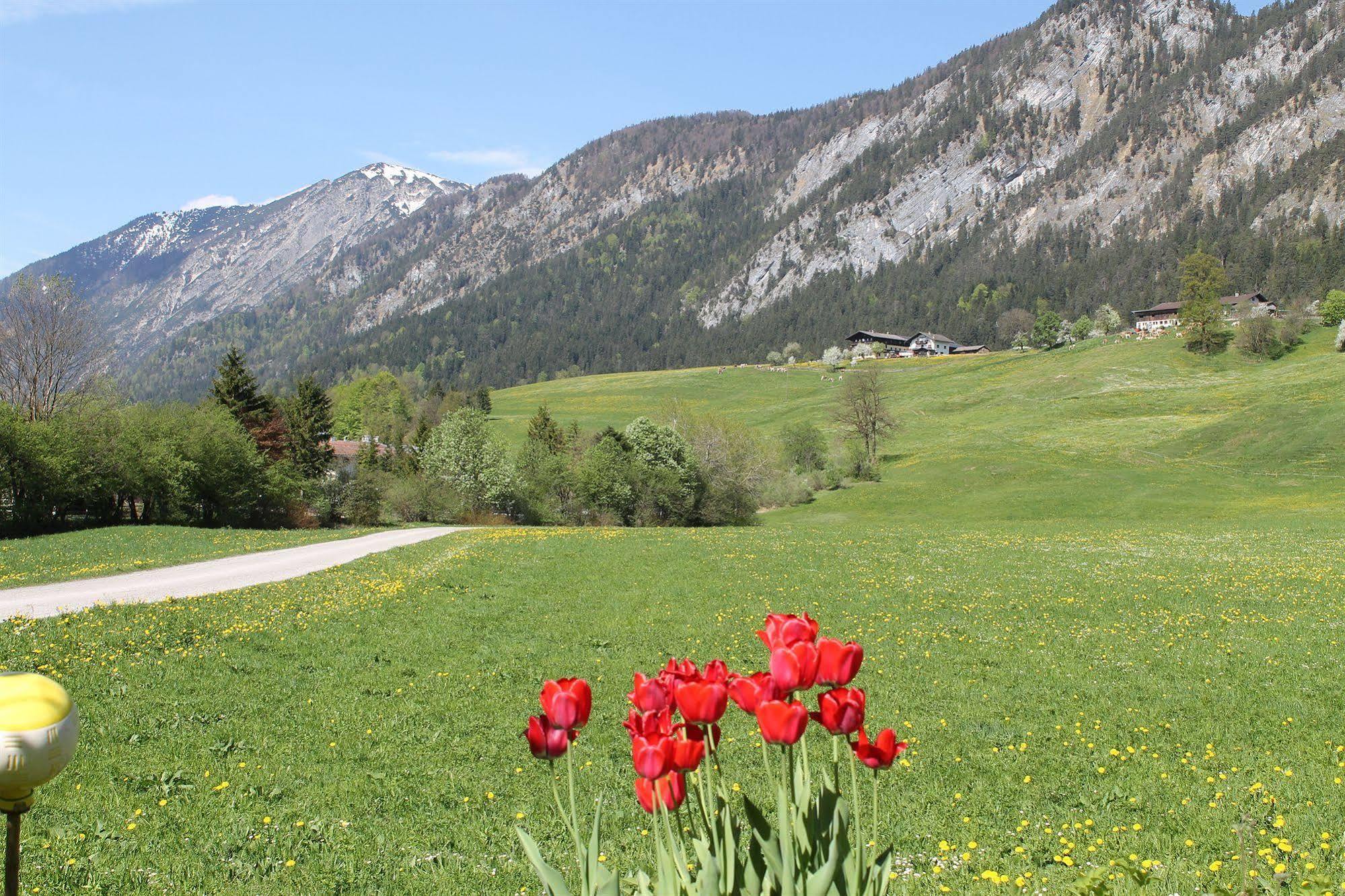 Hotel Kraftquelle Schlossblick Angerberg  Eksteriør billede